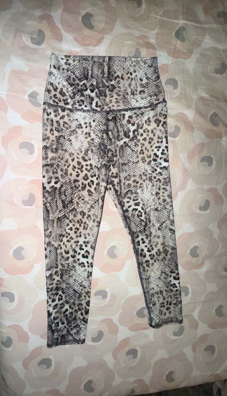 Evolution and Creation Animal Print High Waist Leggings